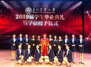 大學(xué)生禮儀服務(wù)隊(duì)納新通知 攝影攝像服務(wù)組招募啟事