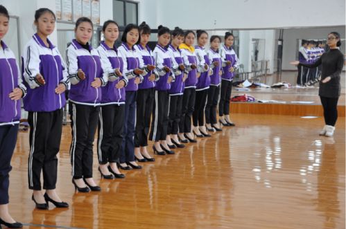 最具魅力的學生社團 舞蹈、動漫與禮儀服務，你知道幾個？