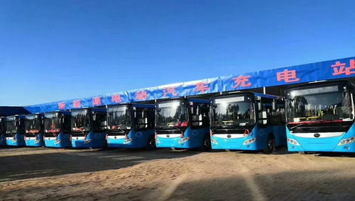 西運集團新能源充電站啟用暨3路公交開通與道路貨物運輸站經(jīng)營啟動